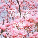 Lacey Chabert Instagram - Thank you so much for the support for #SweetCarolina. Your messages have been so kind and mean so much to me! Thank you to everyone @hallmarkchannel for this opportunity and believing in our movie. My incredibly talented friend Jonathan Prince and I had coffee back in 2018 and dreamed up this story together and then he and Micheal Reisz wrote such a beautiful script. It’s the first time I’ve ever seen a project come to fruition from start to finish and I’m so grateful for all that I learned along the way. So many lessons. Thanks to everyone at @mpca_bktv for being wonderful partners. Thank you to Front Street Productions. Thanks to the incredible cast and crew and director @peterbenson889 who worked so hard and taught me so much along the way. I was so lucky to spend time with you all. Last but most certainly not least, thank YOU! You continue to tune in and support me in my career and I appreciate it more than I can say. God bless you 🤍 This experience will forever hold a special place in my heart🤍