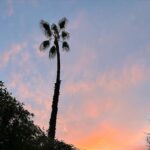 Laufey Instagram - january so far Los Angeles, California