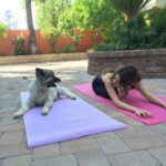 Laura Marano Instagram - We found our inner zen today in my backyard, our chakras are aligned and we’re feeling good! Post your Cesar challenge to Instagram and tag #PawtnersInCrime, #Sweepstakes, and @CesarCuisine for your chance to win a trip to The Inn by the Sea in Portland, Maine. See full rules over at @CesarCuisine. No purchase necessary. #ad