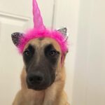 Lauren German Instagram -