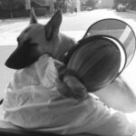 Lauren German Instagram -