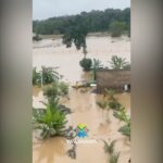 Lauren Jauregui Instagram - URGENT FLOOD RELIEF NEEDED FOR MUTUM VILLAGE IN BRAZIL! Our Yawanawa relatives are currently experiencing the largest flood since 2014 of their ancestral Gregório River which has overflowed and flooded the Yawanawa villages on its banks. The river has not yet receded and already many boats have been lost, and many homes and crops damaged. This is one of many examples of the ongoing climate crisis in frontline Indigenous communities and it is crucial that we show up in solidarity with our family in this critical time. Our relatives have poured so much into others, sharing their medicine, ceremonies and lifeways to support the healing and transformation of so many globally and this is a time that they must be poured into and supported. Please donate share, boost and mobilize in you network in whatever ways you can to support in alleviating the impact of the floods Below are other ways to send funds directly to the frontline ‼️https://gofund.me/db8592af 🆘 CONTACT FOR DONATIONS 🌳 Aldeia Mutum: @manxyvake @juliayawanawa ✔️ CELL PIX 68 99220-2102 In the name of Alessandra Luiza Martins Yawanawa 🌳Transferwise: Amanda.gois.cardoso@hotmail.com Mutum, Acre, Brazil