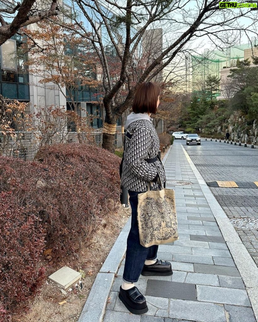 Lee Si-young Instagram - 오호 트리가 아직도 있네😍 올겨울은 왜이리 긴거같죠...?