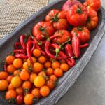 Lindsey Morgan Instagram - A Fall harvest I feel like I forgot to plant some things…