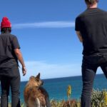 Lindsey Morgan Instagram - Baja w. The Boys @justingchatwin @shaun_sipos