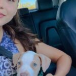 Lindsey Morgan Instagram - Heaven gained another Angel on Sunday. Unfortunately, our little Odessa did not make it and passed away in mine and @shaun_sipos ‘ arms. Life and especially, Death can be confusing. I still don’t know why innocence is punished and evil can be rewarded. But all I do know is that I am so grateful for the small amount of time we did have with her. I think we were meant to show her love (something her previous owners clearly did not) and give her safe passage home. Although our time together was brief; the impact everlasting. Thank you Odessa for teaching me to love with my whole heart irregardless of time or circumstance and to treat myself and others with alittle more softness ♥️ thank you everyone for your prayers and kind words and helpful tips ♥️🙏🏽