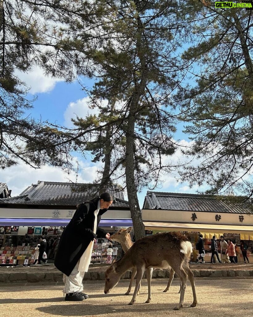 María Chacón Instagram - De los días más bonitos. 🦌🌲🤍 Haciendo feliz a la de la última foto 🥹🤍 Nara Park, Japan