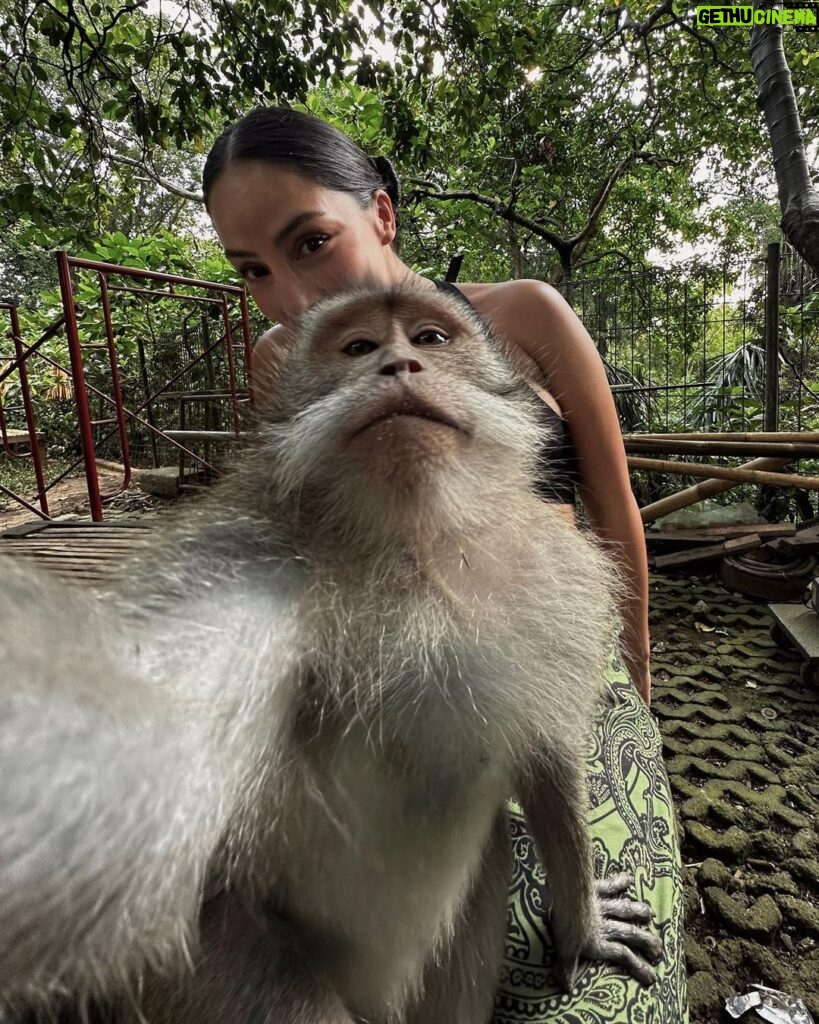 María Chacón Instagram - Selfie con mi amiguito nuevo🐒😂 Monkey Forest Ubud