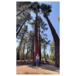María Valverde Instagram - #LakeTahoe