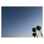 María Valverde Instagram - 🌴🌙