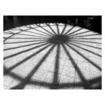María Valverde Instagram - #shadows The Huntington Library, Art Museum, and Botanical Gardens