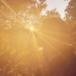 María Valverde Instagram - Here comes the sun…