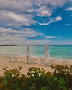 Melissa Roxburgh Instagram - @goldwynnresortbahamas @wearebmf @nassaucruiseport 🖤
📷 @madisonmcgaw