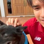 Nadech Kugimiya Instagram - 🍛 🐕 🪴