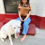 Natalia Téllez Instagram - Mi cachorro ya no es tan bebé 🥲♥️