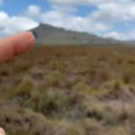 Nathalia Arcuri Instagram - Vale do Pati, dia 1 de 3. O Vale do Pati é conhecido como um dos lugares mais impressionantes e intocados do Brasil. Só pra você ter uma ideia a paisagem exuberante, com cânions, cachoeiras, rios, e montanhas, já serviu de cenário para diversos filmes e documentários. Aqui é na base da trilha mesmo, tem que ter condicionamento, algumas trilhas são bem extensas, fizemos cerca de 16km por dia, mas a ausência de estradas e veículos motorizados contribui para a preservação da natureza e cria essa sensação de isolamento e tranquilidade. Além disso dentro do vale, existem algumas pequenas comunidades remanescentes de quilombolas e agricultores locais, que vivem de forma simples e tradicional. Essas comunidades preservam costumes culturais e técnicas agrícolas antigas, como na hospedagem que a gente ficou no primeiro dia. Eu me dei essa viagem de presente de aniversário. Talvez alguns vão me chamar de doida, de fazer trilha em pleno aniversário... pois que digam. Eu queria estar assim, pertinho da natureza, conectada comigo mesma e foi muito especial. Nos próximos dias vou mostrar mais nos meus stories! Quem tá acompanhando, já manda um ❤️ — Meu guia: @beja_guia.chapadadiamantina Vale do Pati - Chapada Diamantina