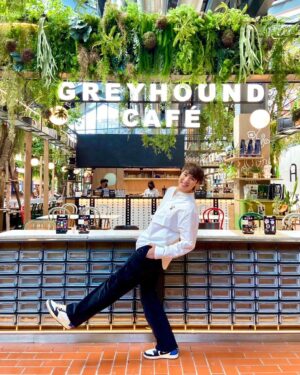 Nawat Phumphothingam Instagram - Hound's Course คอร์สพิเศษที่รวบรวมเมนู Signature และ เมนูยอดฮิตตลอดกาลของร้าน Greyhound Café มาจัดคอร์สให้อร่อยได้ทุกวัน

#GreyhoundCafe
#houndscourse