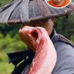 Nigel Ng Instagram - Does Kung Fu make everything better?