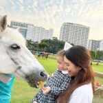 Nittha Jirayungyurn Instagram - 🐴🍼🎟️🙏🏻😴