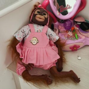 Paddy McGuinness Instagram - Never fails to shit me right up every time I walk in my youngest daughter’s bedroom! Felicity thinks it’s great? To me it looks like something that’s escaped from Dr Moreau’s Island!!! #whateverhappenedtocarebears