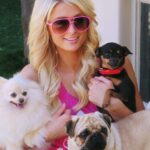Paris Hilton Instagram - Puppies are a girl’s best friend 🥰🐶 Happy #NationalPuppyDay to our favorite furry friends 💖 Love my @HiltonPets so much!😍