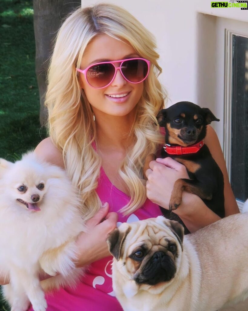 Paris Hilton Instagram - Puppies are a girl’s best friend 🥰🐶 Happy #NationalPuppyDay to our favorite furry friends 💖 Love my @HiltonPets so much!😍