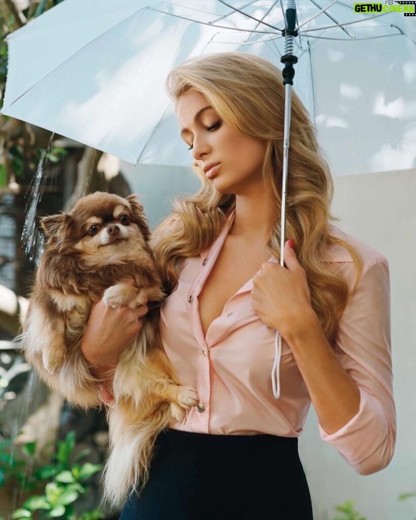 Paris Hilton Instagram - Puppies are a girl’s best friend 🥰🐶 Happy #NationalPuppyDay to our favorite furry friends 💖 Love my @HiltonPets so much!😍