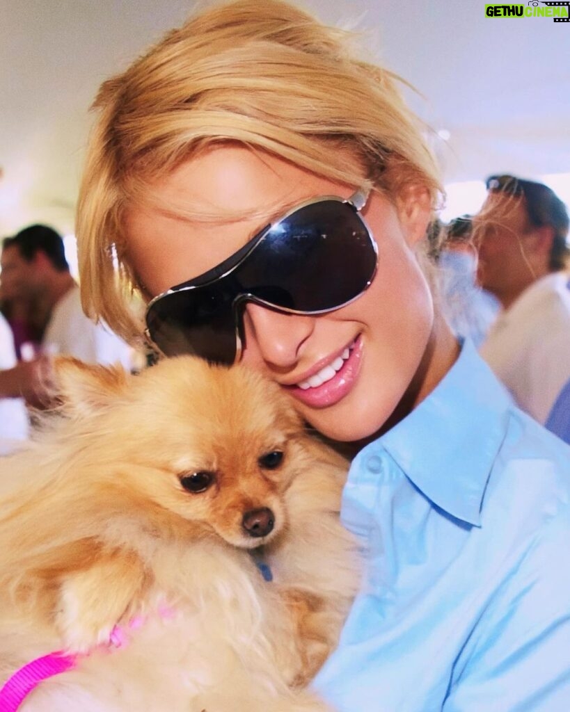 Paris Hilton Instagram - Puppies are a girl’s best friend 🥰🐶 Happy #NationalPuppyDay to our favorite furry friends 💖 Love my @HiltonPets so much!😍