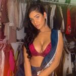 Poonam Pandey Instagram - Christmas vibe in Saree! 😜