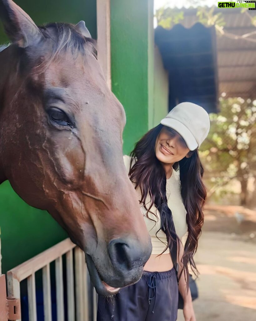 Poonam Pandey Instagram - Surrounded by the beauty of nature and its inhabitants. Sending a big thanks to Kalote Animal trust for taking care of the sanctuary. @kaloteanimaltrust @piaparadise