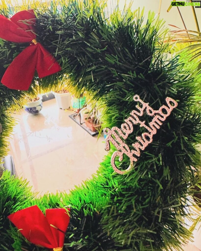Poonam Pandey Instagram - Merry Christmas to everyone..🎄 .. #christmas #christmasdecor #christmastime #poonampandey