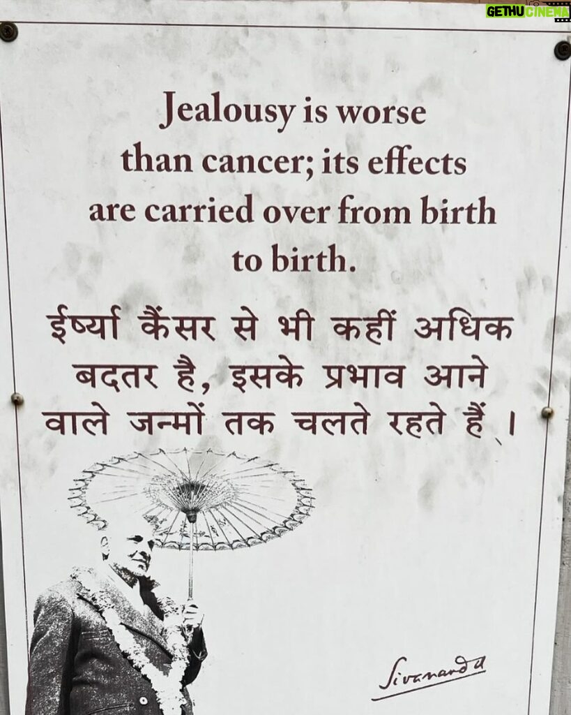 Rainn Wilson Instagram - I got to visit the ashram of the famous yogi sIvinanda recently. He started a beautiful ashram called the divine life society. He devoted his whole life and teachings to service to others. He was a doctor and found a hospital near his home in Rishikesh India. Beautiful sayings of his were all over the walls. Which is your favorite? Which resonated for you? Would love to hear your thoughts!