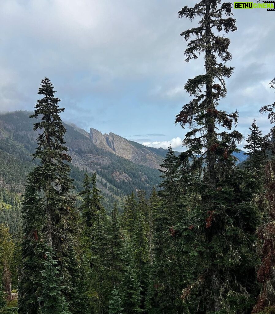 Rainn Wilson Instagram - I got to go into the woods of the great Pacific Northwest before the summer officially ended. These are a few of the things I saw. I need my batteries recharged in the Cascades every summer. Where is your soul-stirring place?