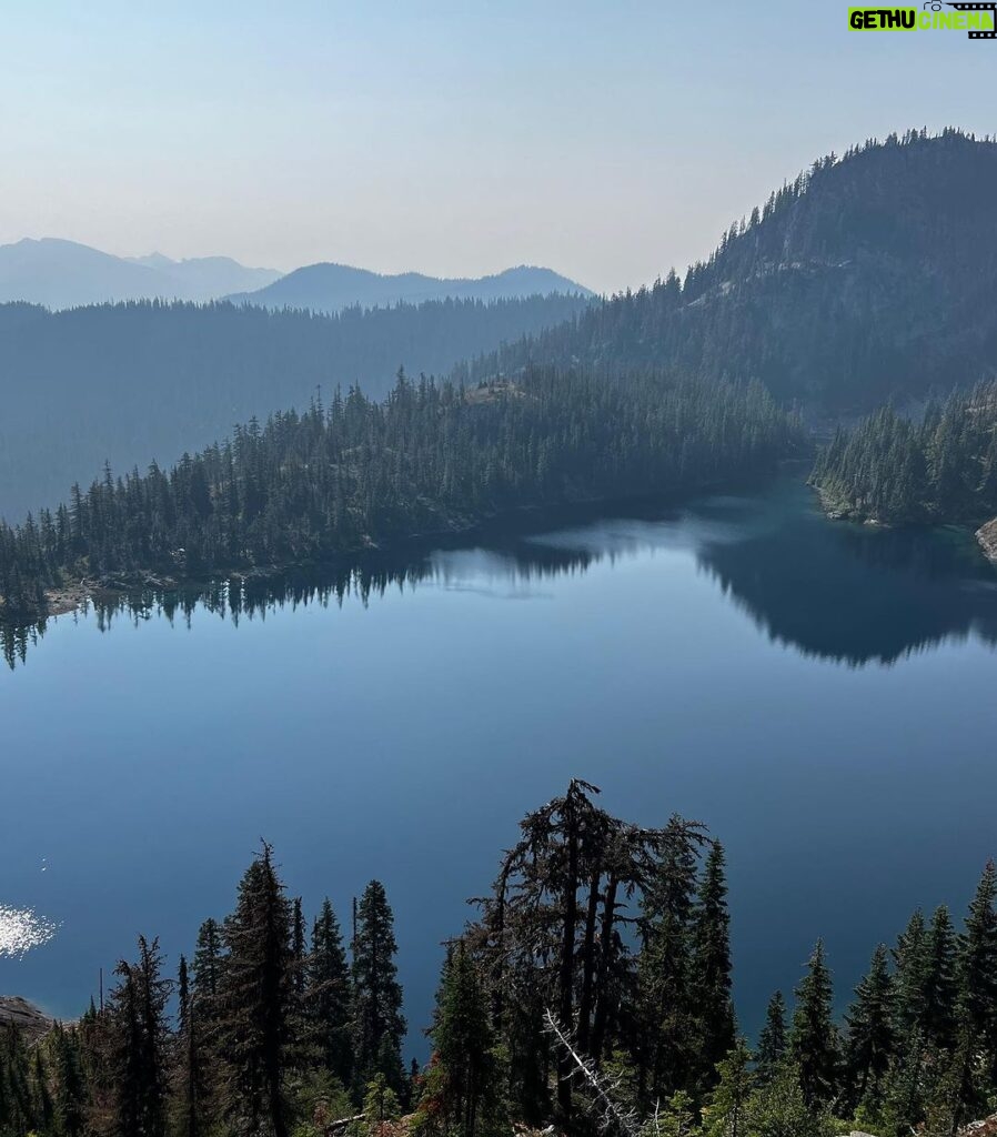 Rainn Wilson Instagram - I got to go into the woods of the great Pacific Northwest before the summer officially ended. These are a few of the things I saw. I need my batteries recharged in the Cascades every summer. Where is your soul-stirring place?