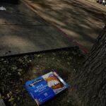 Rainn Wilson Instagram - If anyone lost or dropped their Van De Camp fish filets, they’re near the corner of Ventura Boulevard and Kester Ave by the big tree.