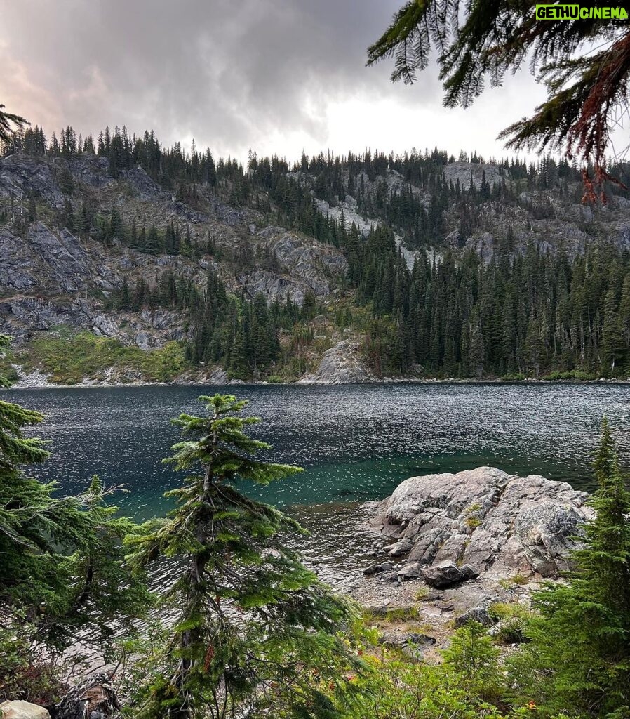 Rainn Wilson Instagram - I got to go into the woods of the great Pacific Northwest before the summer officially ended. These are a few of the things I saw. I need my batteries recharged in the Cascades every summer. Where is your soul-stirring place?