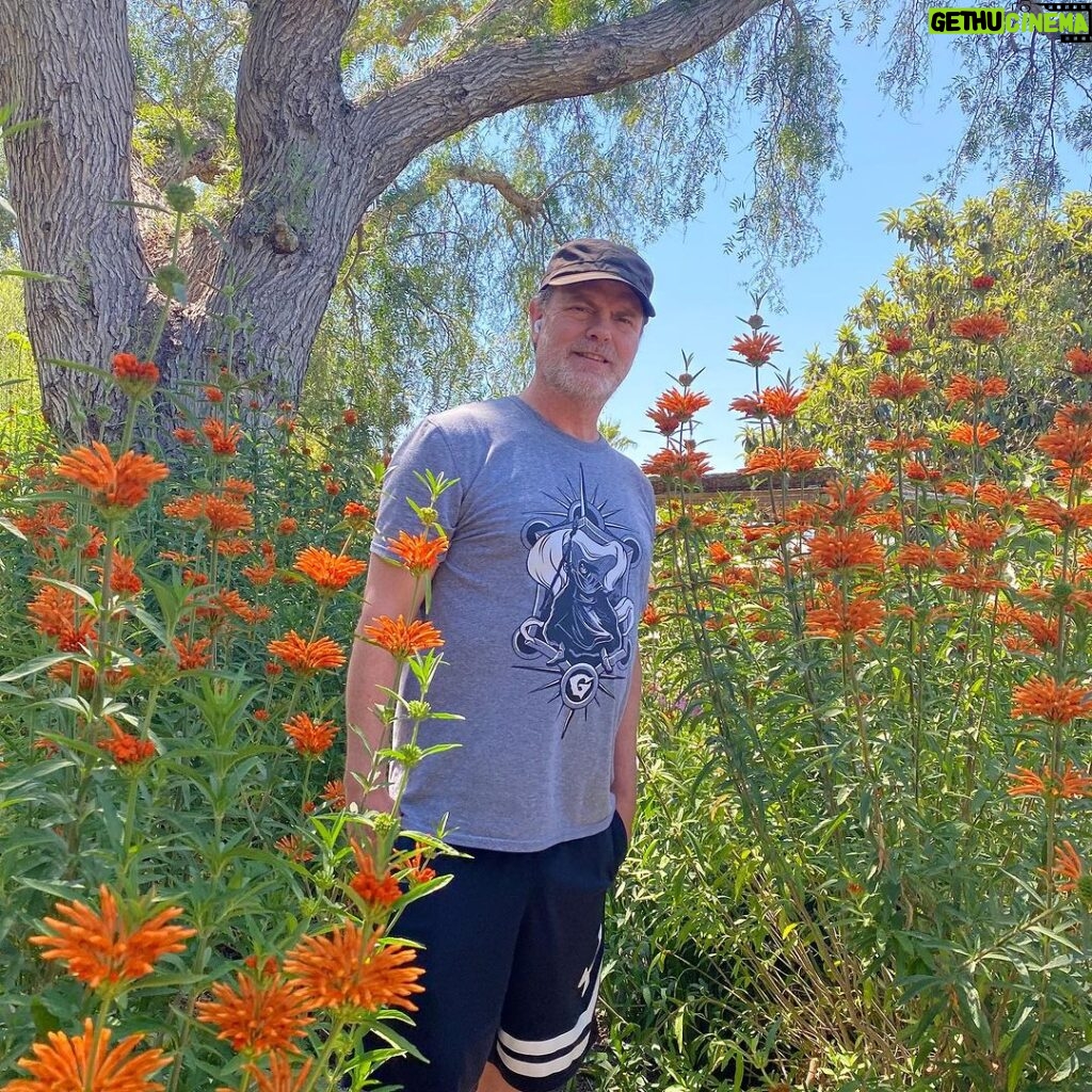 Rainn Wilson Instagram - My wife and I stopped to appreciate the flowers the other day. We never used to do that and I’m so grateful we now do! @holidayreinhorn