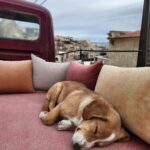 Rathavit Kijworalak Instagram - <3 Cappadocia / Kapadokya