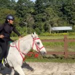 Remy Ishak Instagram - Aku simpan sini Sheikh. Hang dah janji nak bagi NX RAS DARWIN kat aku kan? jangan sampai aku post video perjanjian kita tadi kikihkih! 😈 @sjnanostix Ar-RAUDHAH Equine Centre