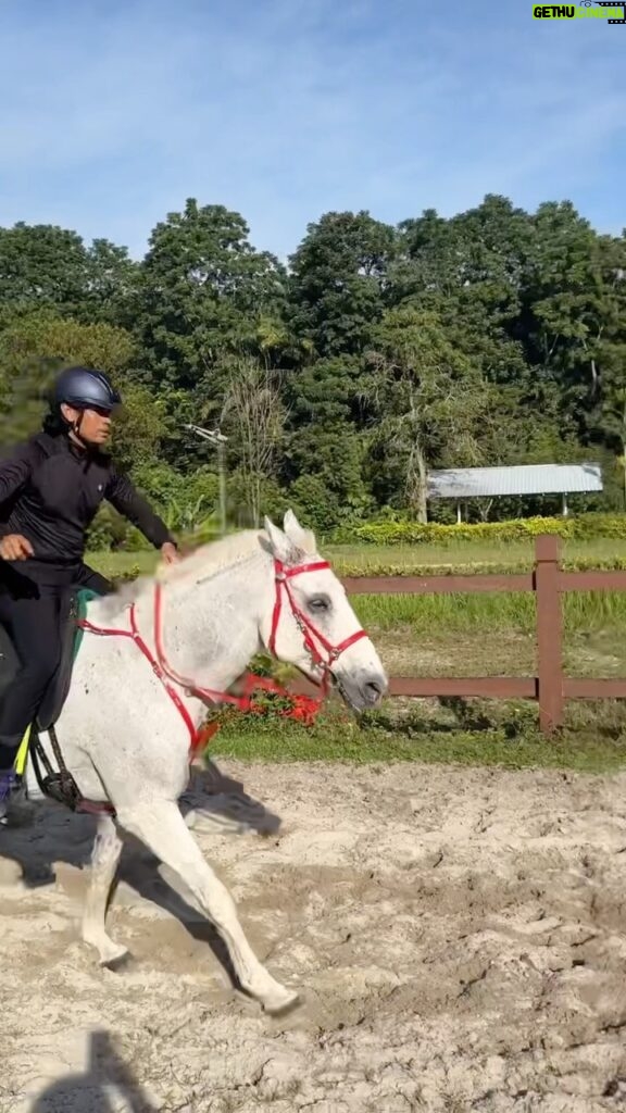 Remy Ishak Instagram - Aku simpan sini Sheikh. Hang dah janji nak bagi NX RAS DARWIN kat aku kan? jangan sampai aku post video perjanjian kita tadi kikihkih! 😈 @sjnanostix Ar-RAUDHAH Equine Centre