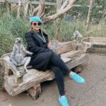 Sahar Moghadass Instagram – سلامممم 📢 احوالتون چطورهههه ؟
… ❤️ London Zoo