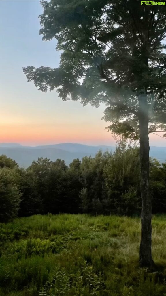 Sarah Rafferty Instagram - We went to #Vermont. Now I miss it. 🧚‍♀️🌻🍓⛰️📚👨‍👩‍👧‍👧❤️