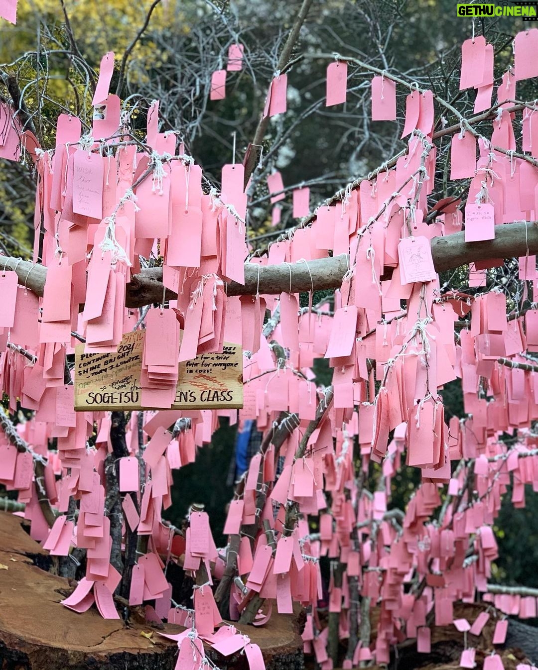 sarah-rafferty-instagram-safely-visited-the-wishing-tree-at-descanso