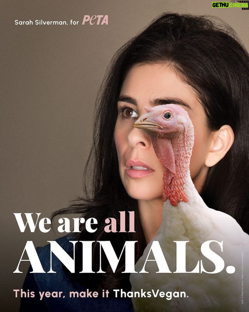 Sarah Silverman Instagram - “Give the bird a break” this #Thanksgiving, like iconic actor & vegetarian @sarahkatesilverman suggests 🌱🦃  Click the 🔗 in our bio to get the full story ➡️ https://peta.vg/3s6d 📷: @vonswank