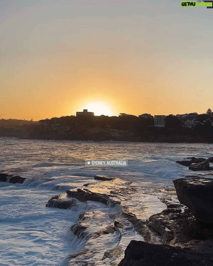 Savannah Clarke Instagram - S U M M E R L I V I N G _______________________________ And she reminds me of the ocean So much left to discover But still feels like home. __________________________________ #BeachLife #Dogstagram #OceanSwims #Sunrise #DogWalks #SydneyBeaches #Australia #SydneyLife #ThisWeek #MyEveryDayProject #PuppyLover #AussieLife #BikiniSeason #SummerLoving #FreeAsTheOcean #Summer2024 ___________________________________ _______________ Sydney Beaches