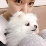 Seo Ji-hye Instagram - 🐶멍