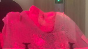 Shannen Doherty Instagram - January 12, 2023.  On January 5th, my ct scan showed Mets in my brain. Yesterdays video was showing the process of getting fitted for the mask which you wear during radiation to your brain. January 12, the first round of radiation took place. My fear is obvious. I am extremely claustrophobic and there was a lot going on in my life.  I am fortunate as I have great doctors like Dr Amin Mirahdi and the amazing techs at cedar sinai.  But that fear…. The turmoil….. the timing of it all…. This is what cancer can look like.