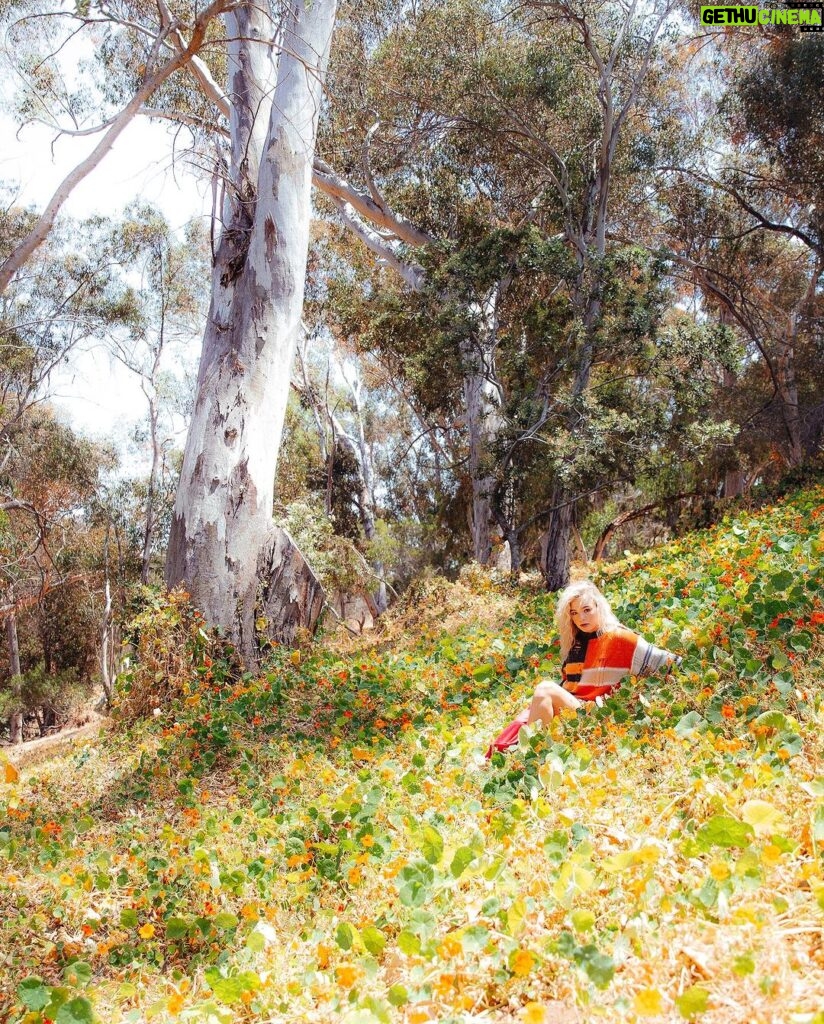 Sofya Plotnikova Instagram - and all at once, summer collapsed into fall🍃🍁🍂 ph by @bydanielmareno Los Angeles, California