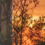 Sonia Abrão Instagram - SEXTOU! Bom dia! Não tô acreditando em tanta beleza nessa manhã!!! 😱 Deus sempre inspirado! 🙏😍 Outono em Sampa! Sem filtro! 🥰🥰🍁🍂🍁🍂🍁🍁🍁