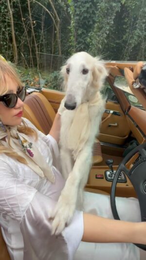 Suki Waterhouse Instagram - for everyone wondering why I’m always late…